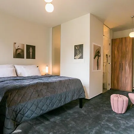 & Gallery Kopacka Guest house Svitavy