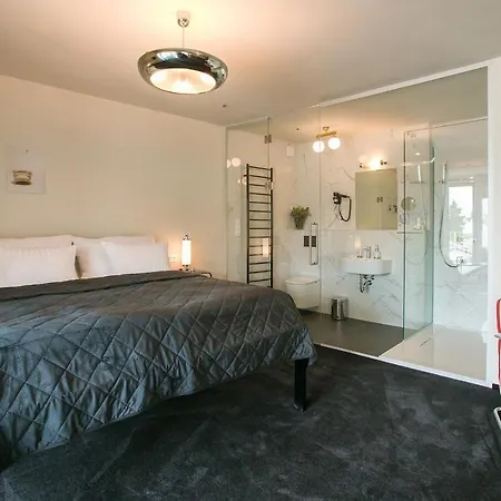 Hotel&gallery Kopacka 4* Svitavy