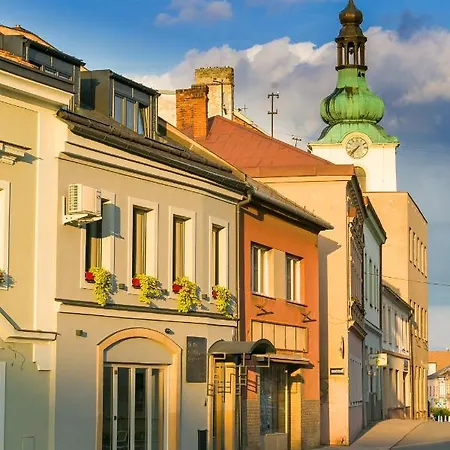 Hotel&gallery Kopacka Penzion 4*