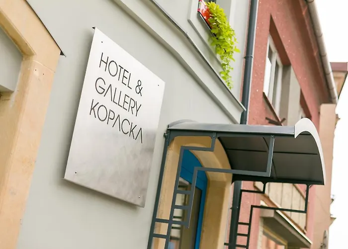 Πανσιόν & Gallery Kopacka 4*