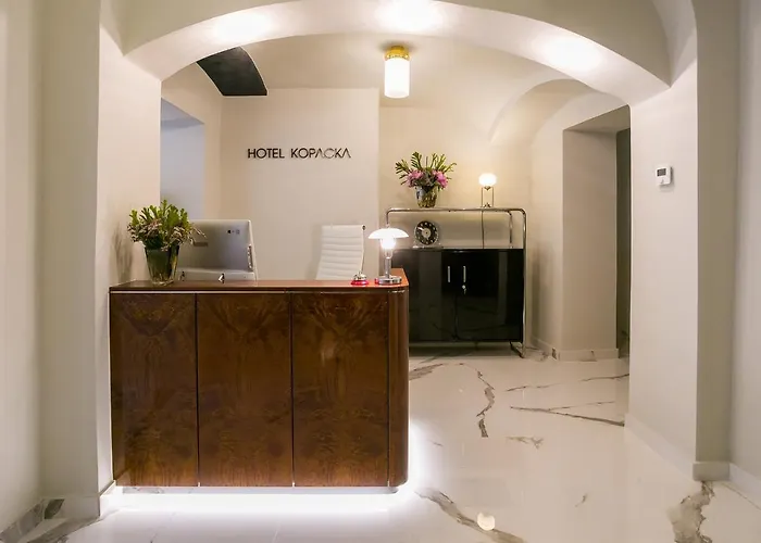 Πανσιόν & Gallery Kopacka