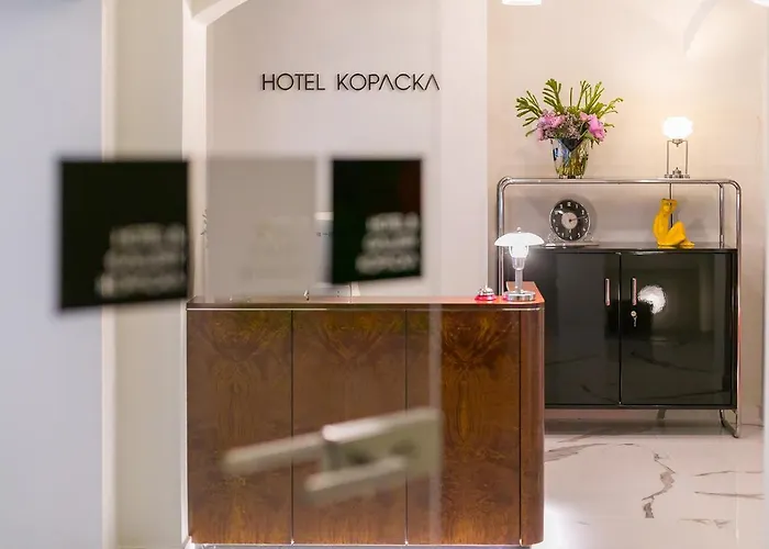 Πανσιόν & Gallery Kopacka